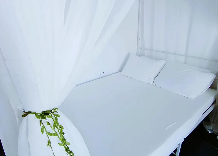 Campsite Sunshine Schitu